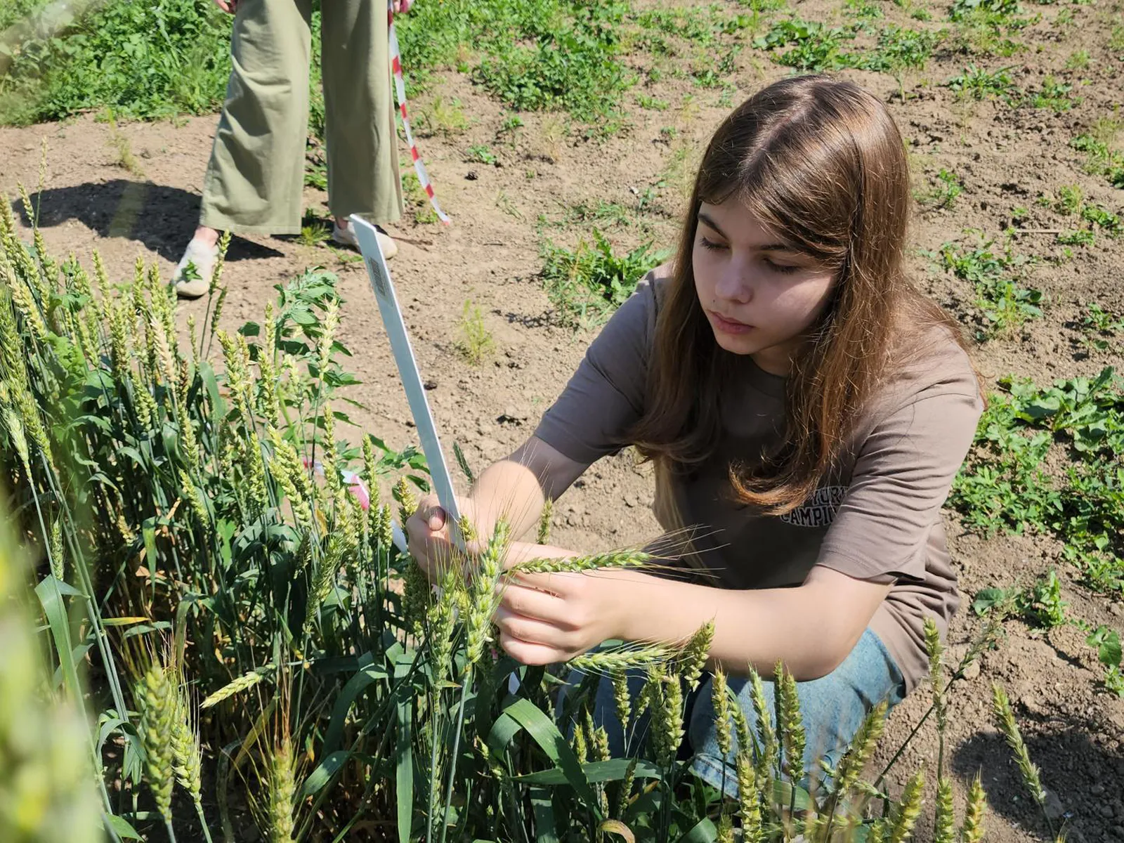 Фото: Медиабанк Подмосковья/Андрей Семибратов