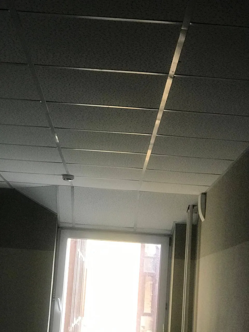 Фото: администрация Наро-Фоминского г.о.