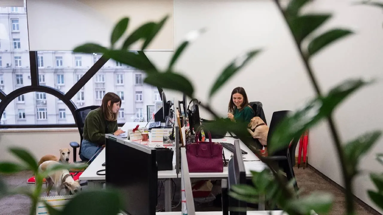 «В цепочке всегда есть слабые звенья»: экономист пояснил причины массовых предновогодних увольнений