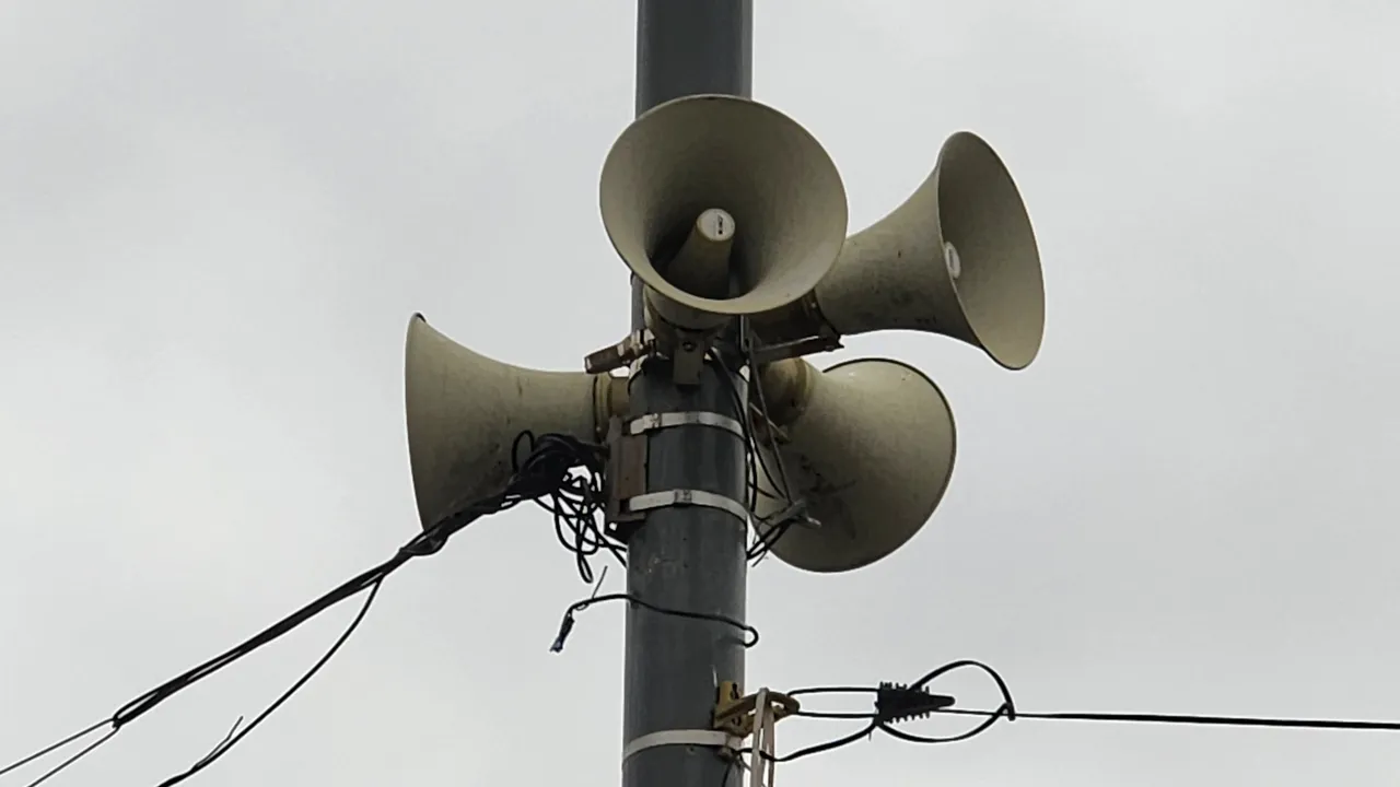 МедиаБанк Подмосковья/Дмитрий Павлов