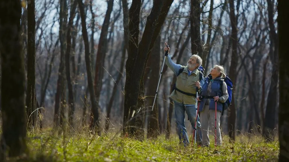 медиасток.рф