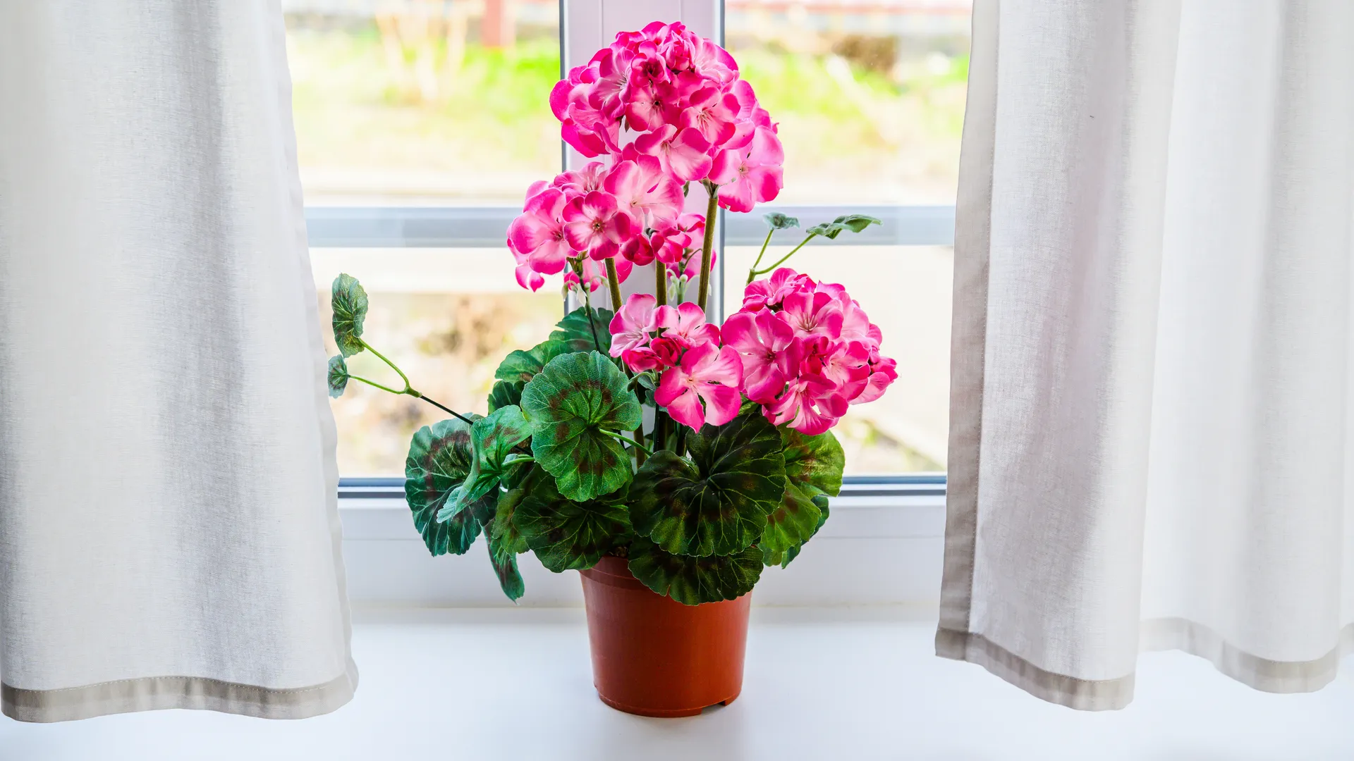 медиасток.рф