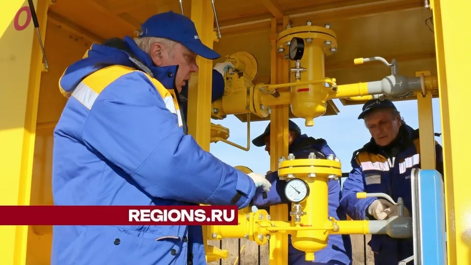 Фото: Александр Дрожжин