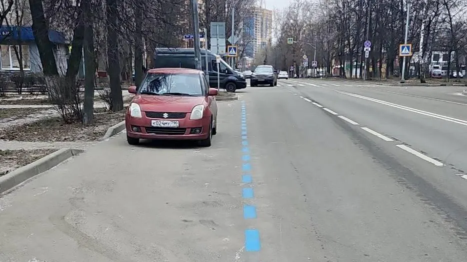 Фото: пресс-служба администрации г.о. Реутов