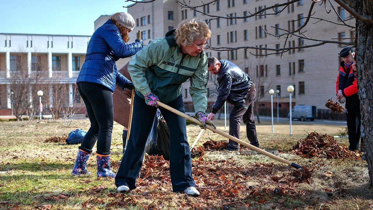 медиасток.рф