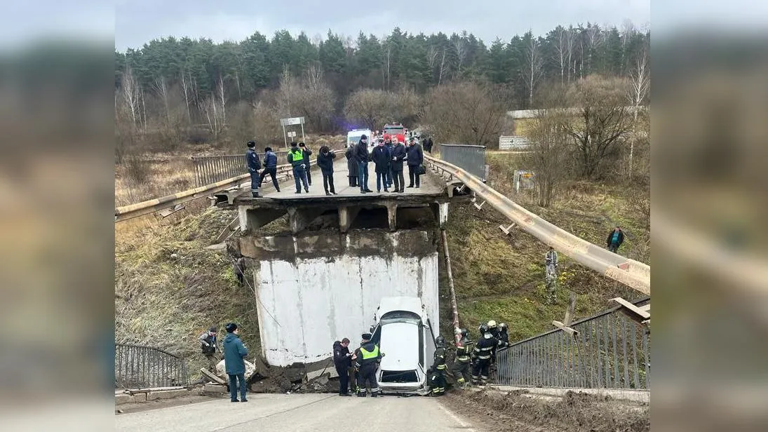 Фото: телеграм-канал «Подмосковная полиция»