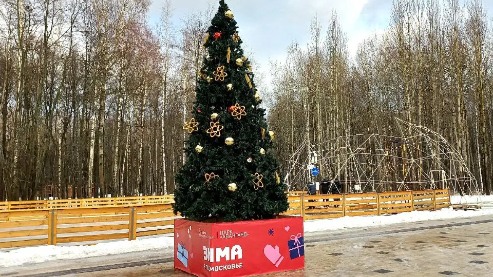 Фото: пресс-служба администрации г.о. Электросталь