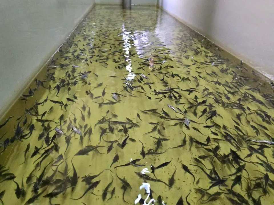 Фото: Яна Шаливская