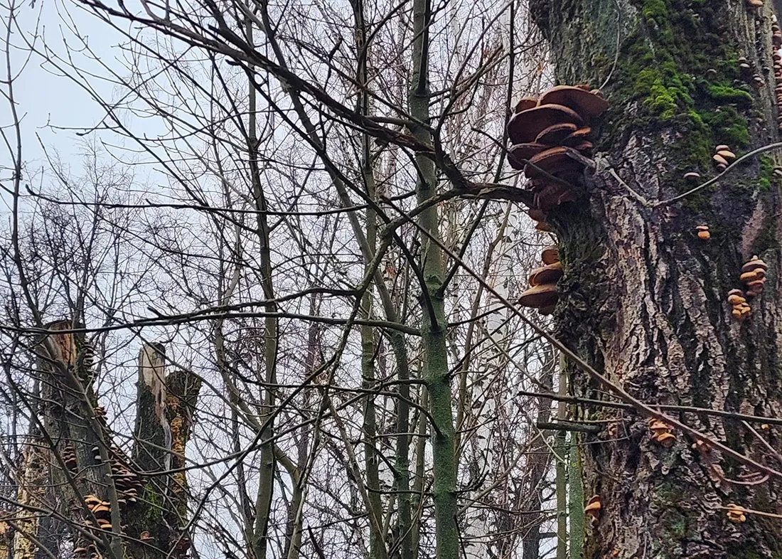 Фото: Екатерина Мелкозерова