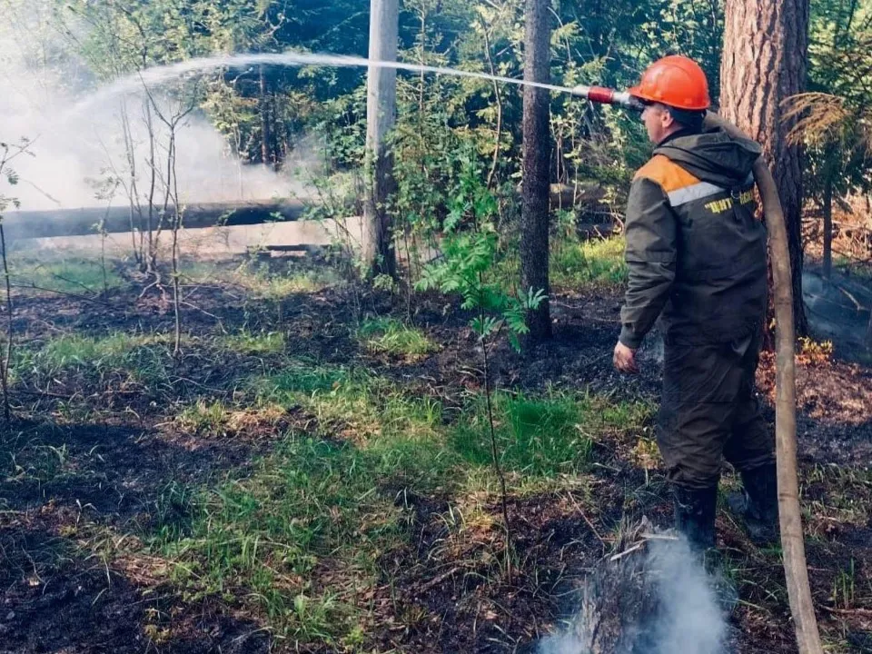Комитет лесного хозяйства Московской области
