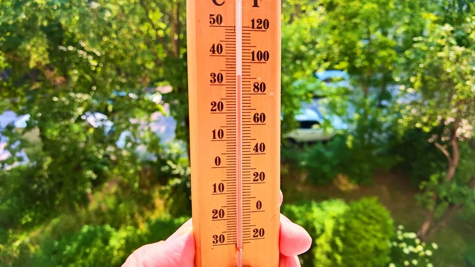 Фото: REGIONS/Алексей Селиверстов