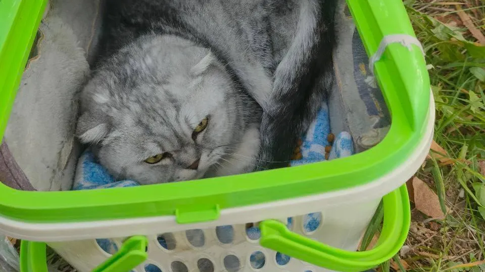 фото: соцсети