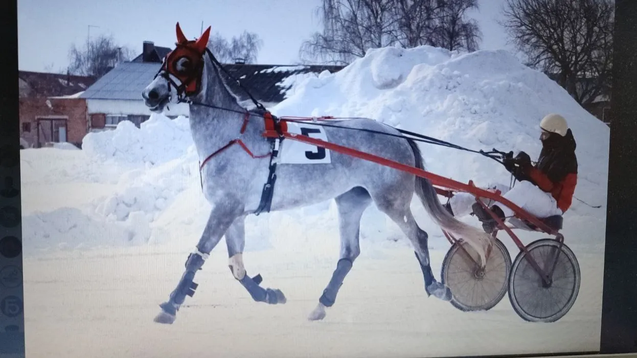 Фото: Елена Забелина