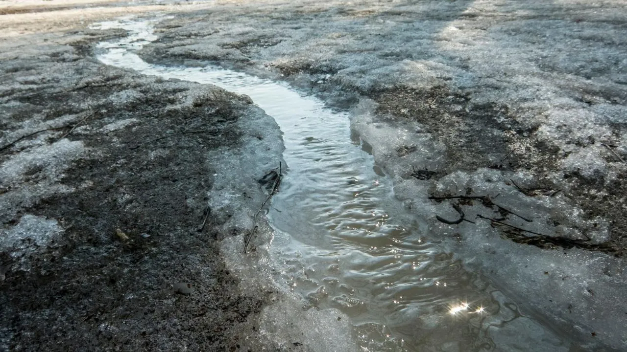 администрация Дмитровского округа