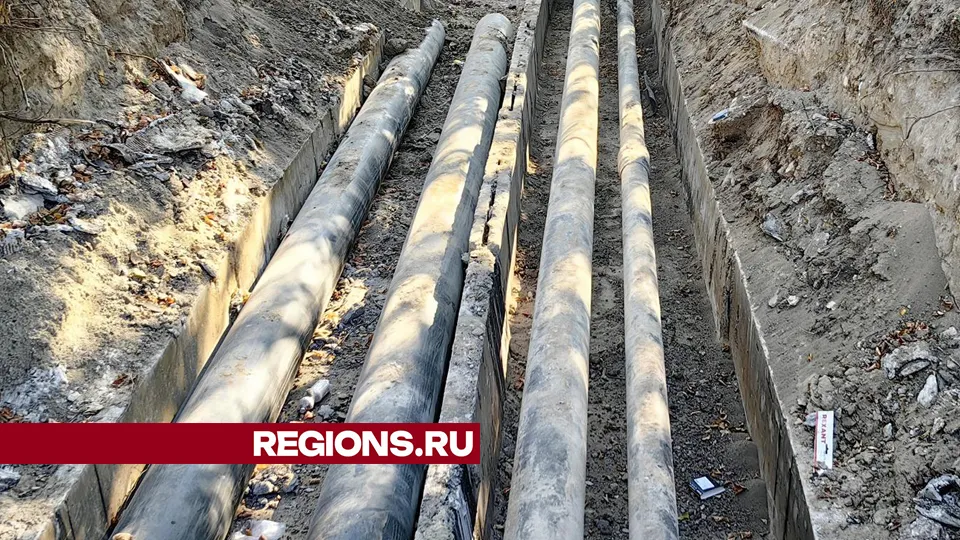 Фото: REGIONS/Елена Катасонова