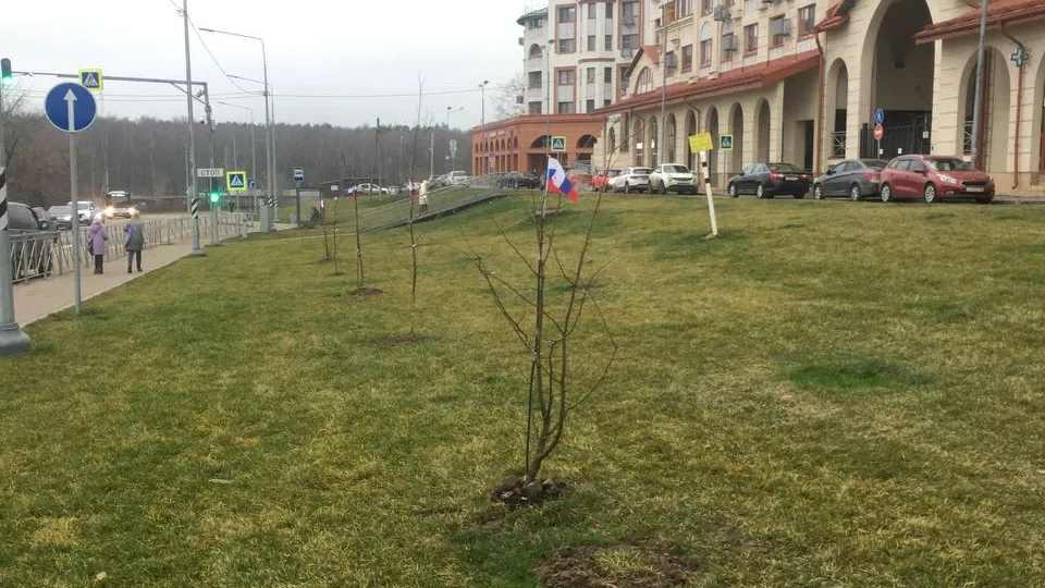 Фото: t.me/uprimskiy1