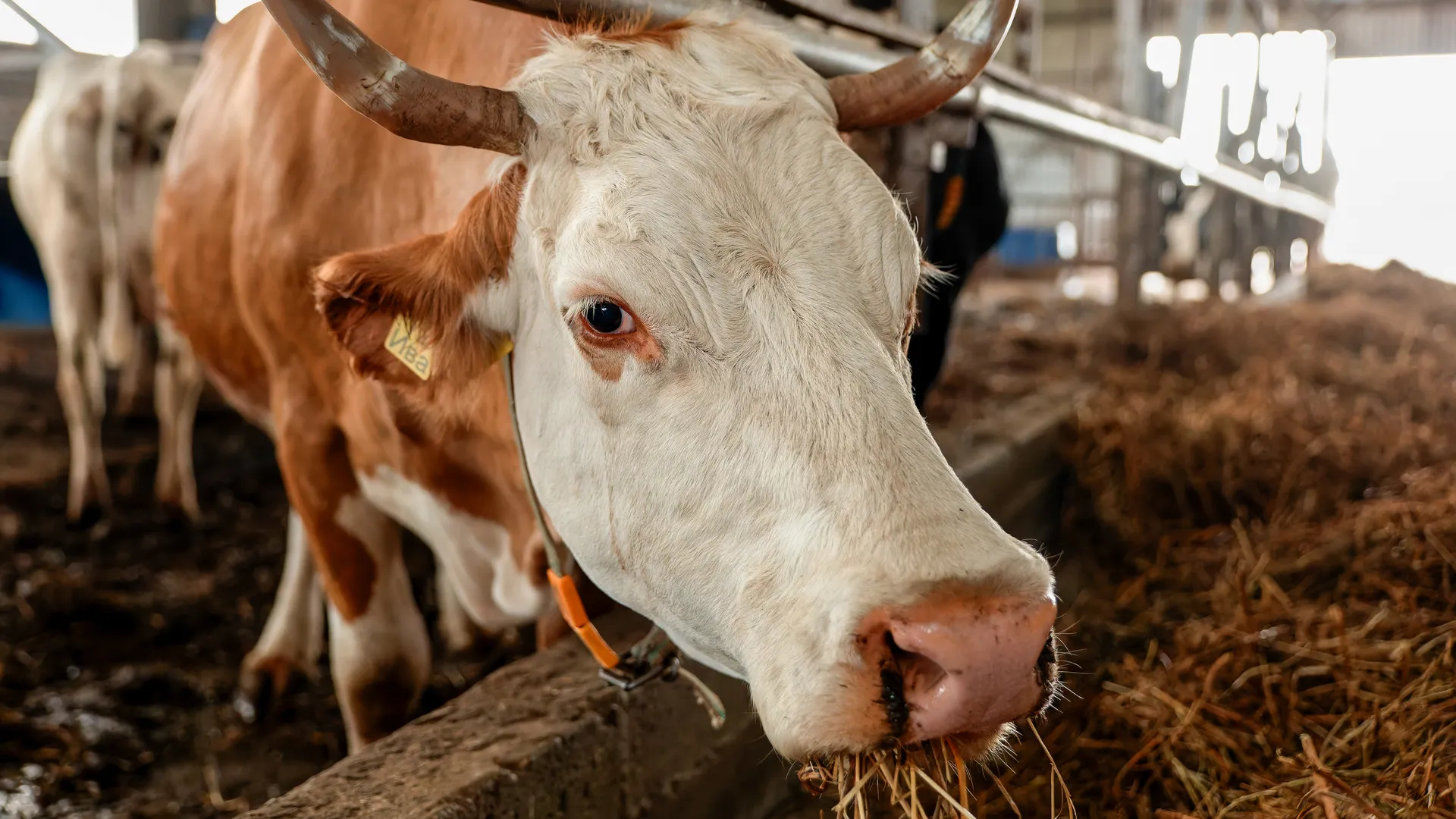 медиасток.рф