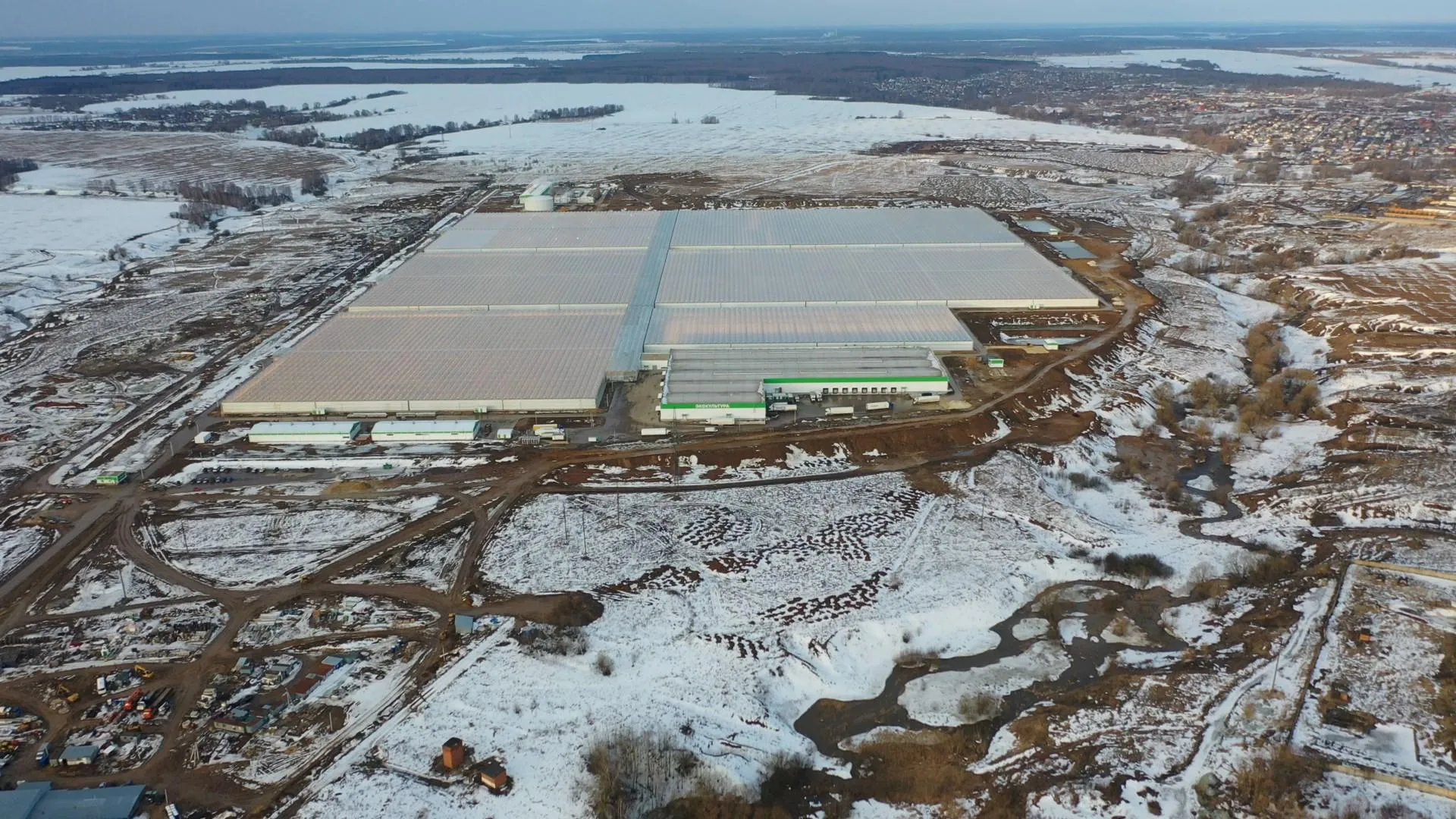 Дарья Московцева