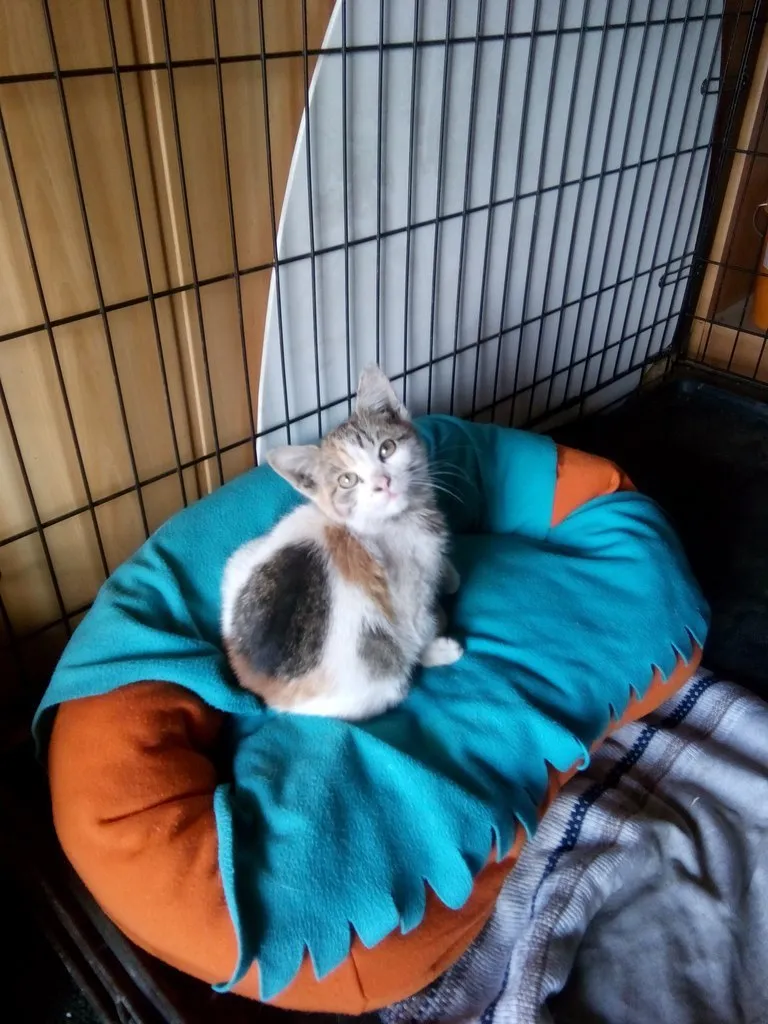 Фото:&nbsp;Ирина Юдаева