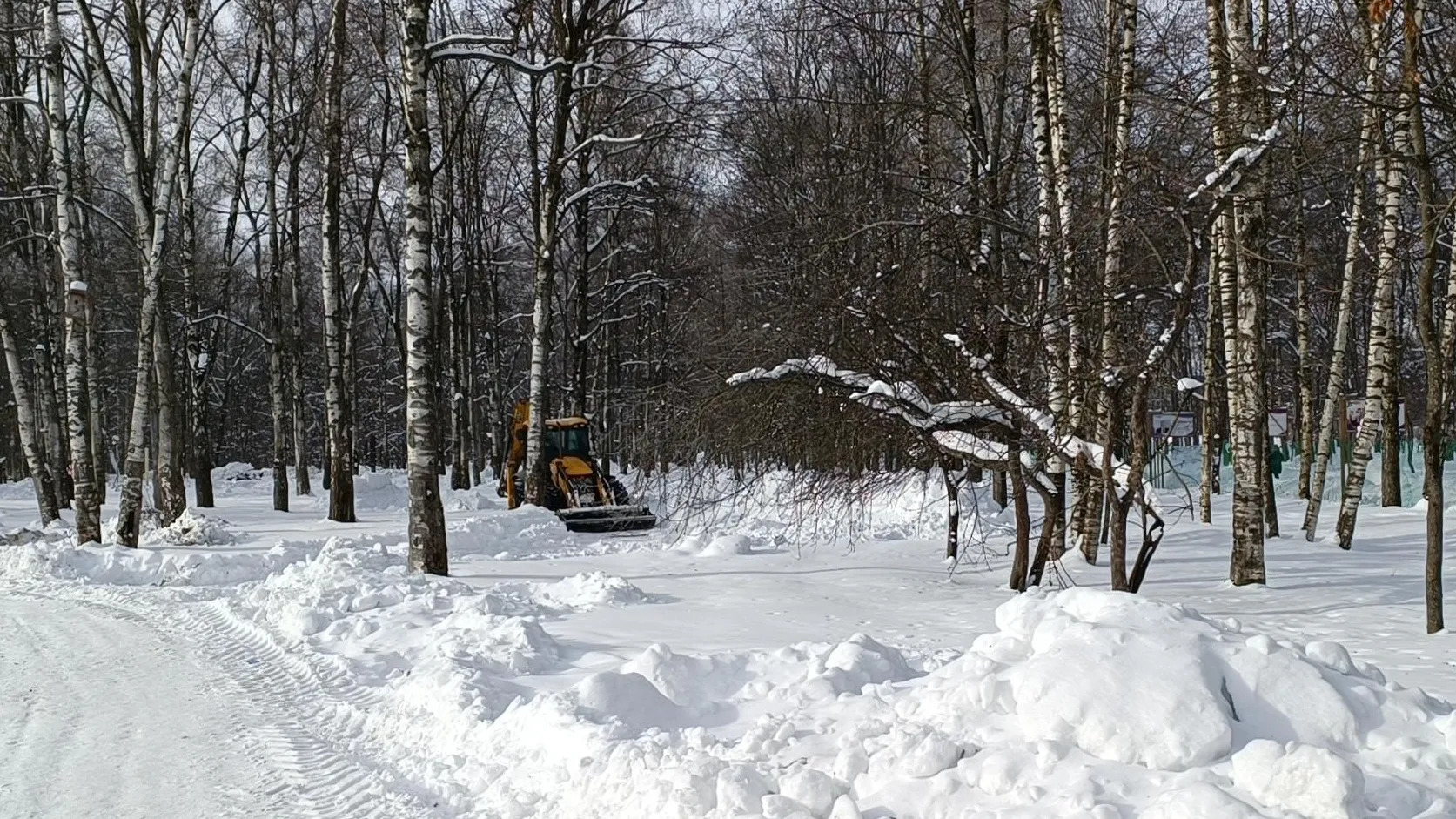 Фото: Екатерина Дятловская