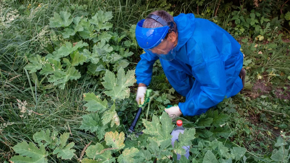 Фото: Евгений Леонов/ТАСС