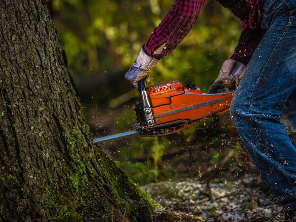 Фото: istockphoto.com/simonkr