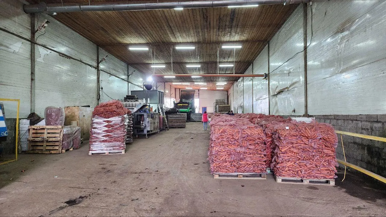 Евгений Рой