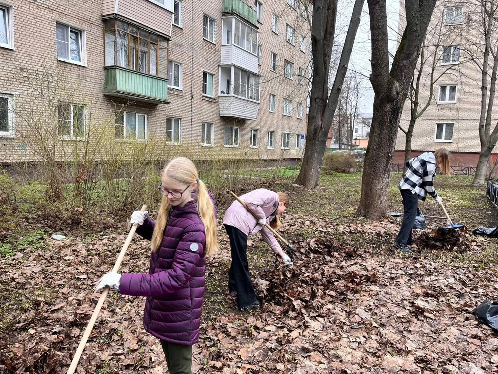 Фото: «Движения первых» г.о. Щелково
