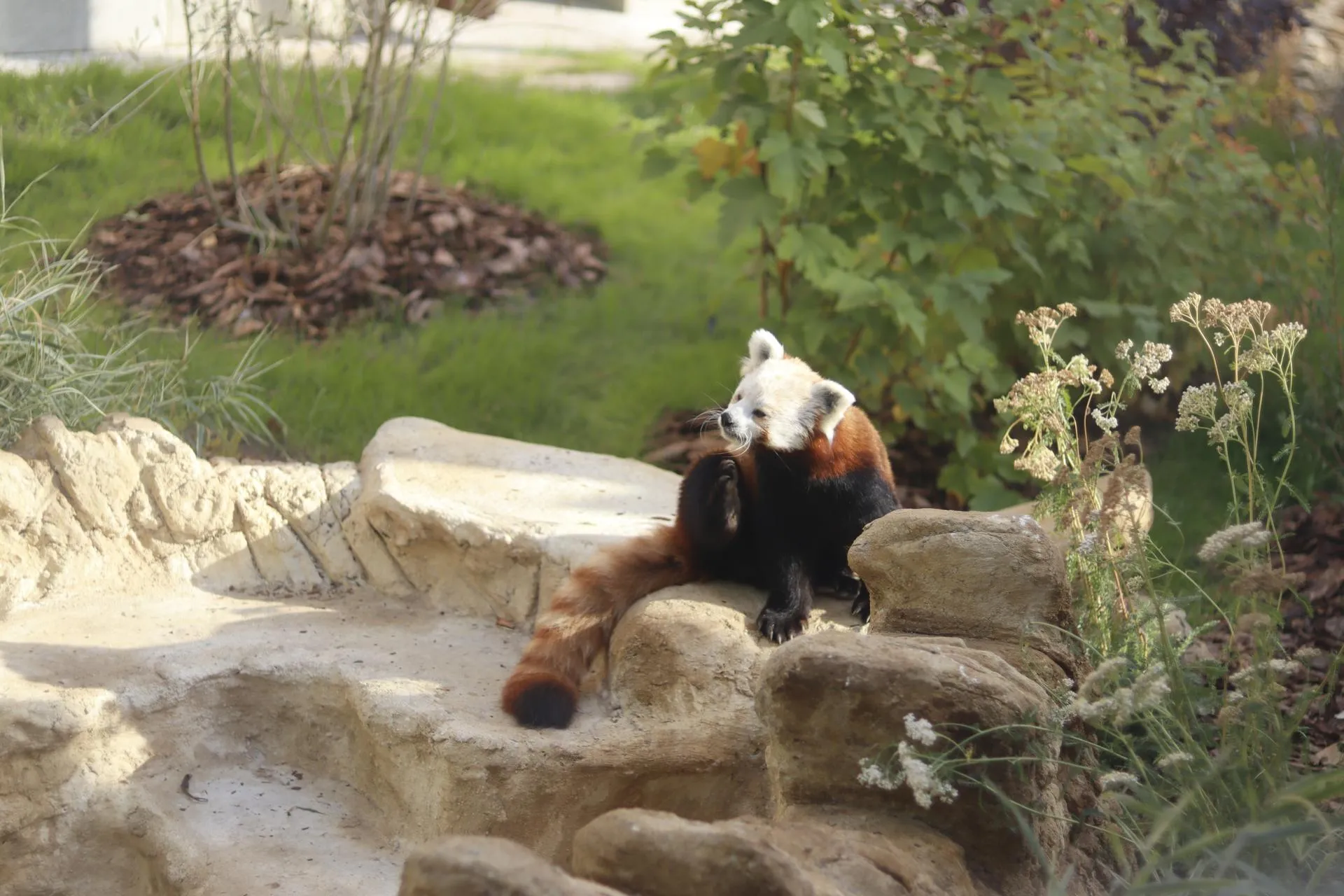 Фото: «Молодая Гвардия» г. о. Зарайск