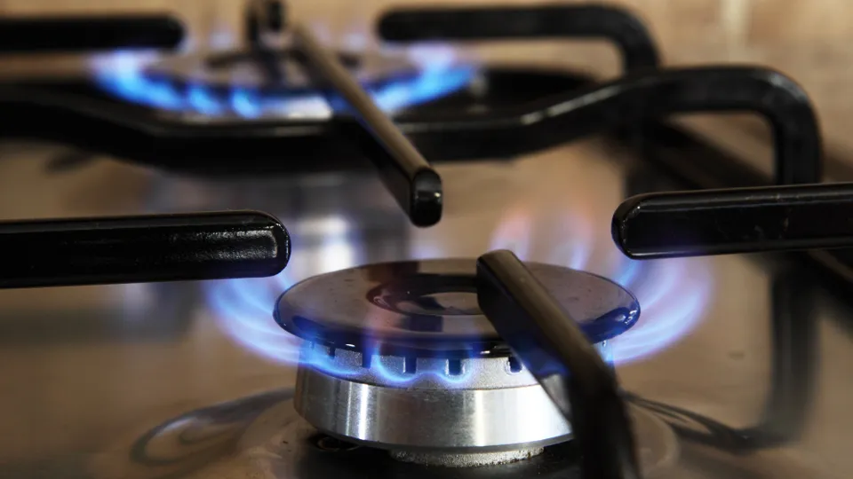 Фото: pxhere.com