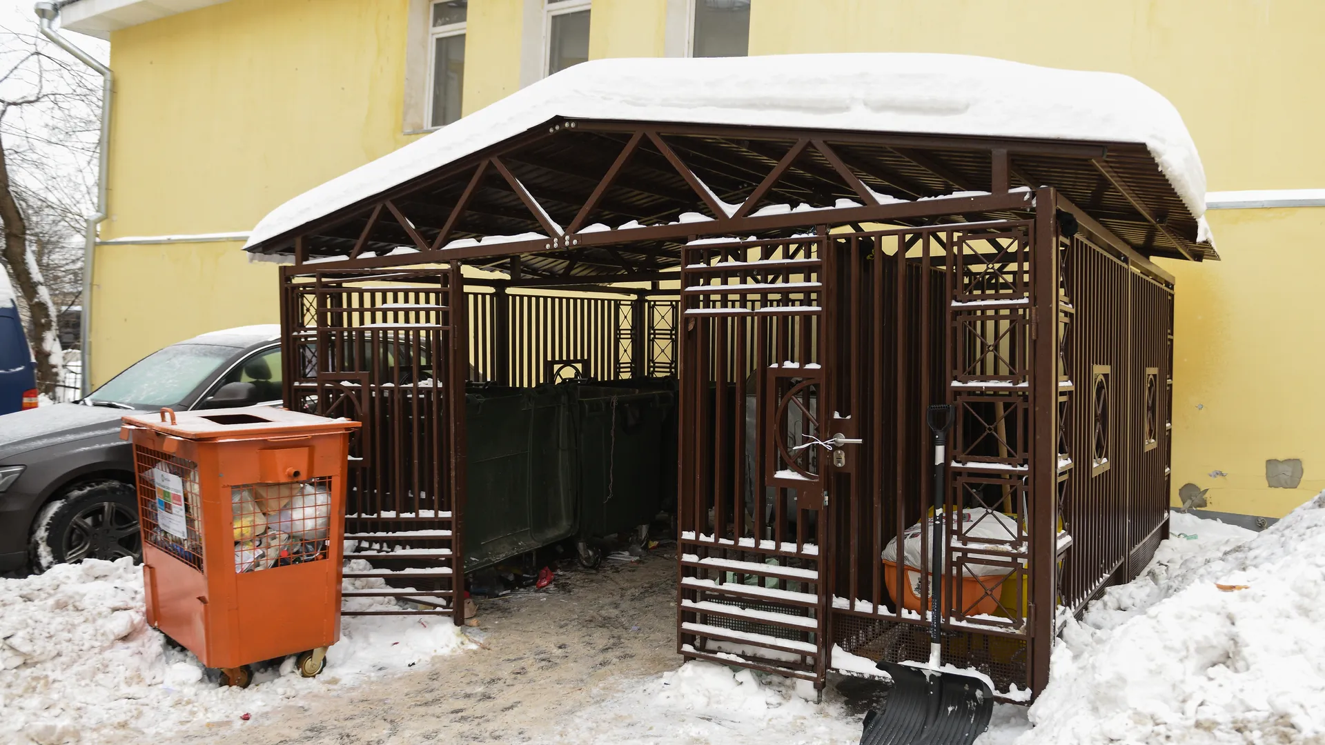 Крысы заполонили мусорные площадки Владивостока: жители боятся подходить близко