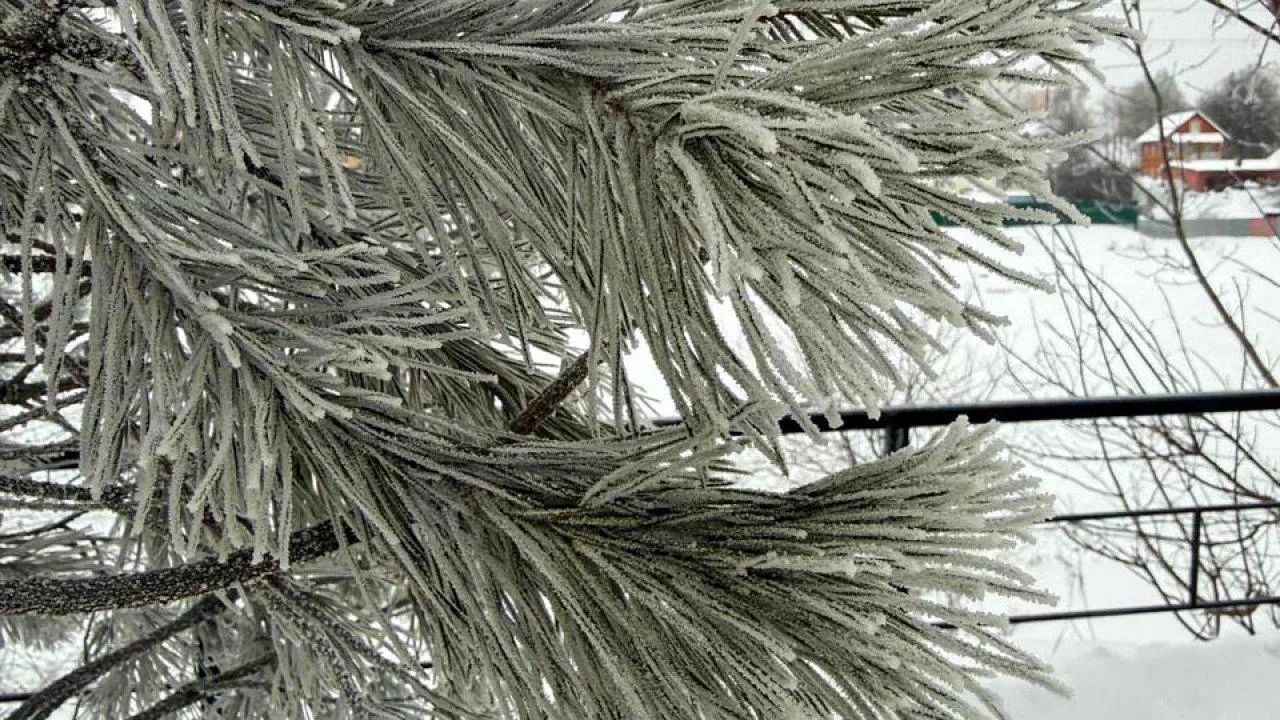 REGIONS/Анастасия Малышенко