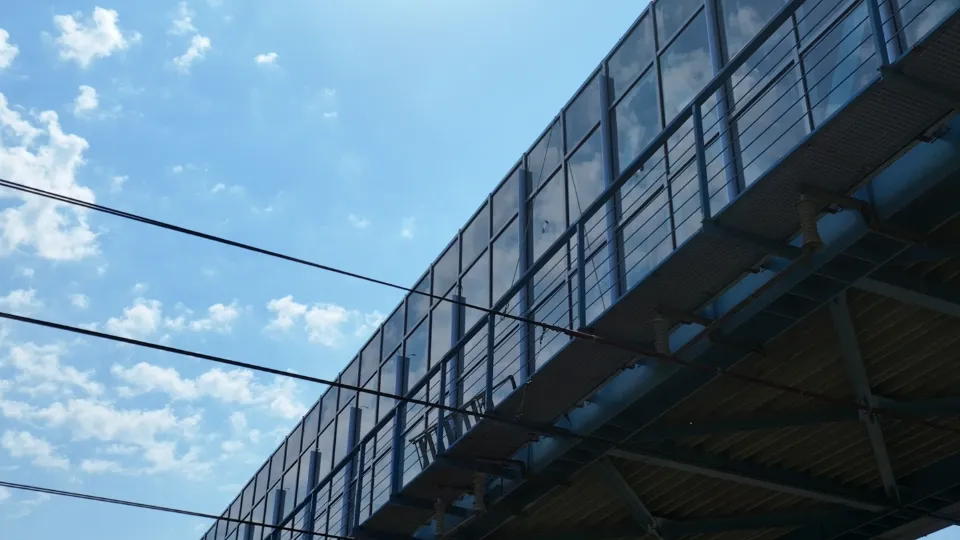 Фото: пресс-служба администрации г.о. Люберцы