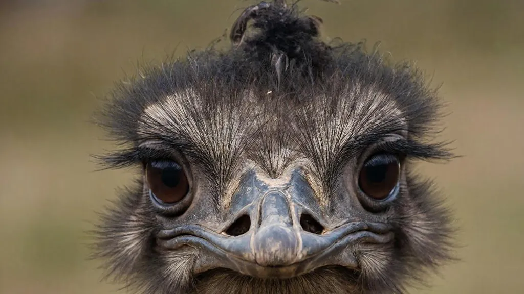 REGIONS/Сгенерировано нейросетью