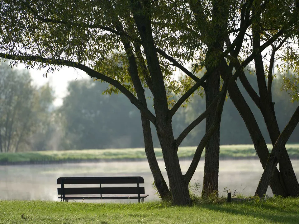 Фото: официальный сайт загородного клуба «ЗаВидное»