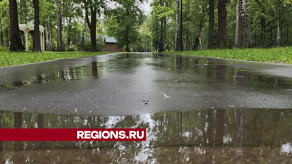 Фото: Андрей Семибратов