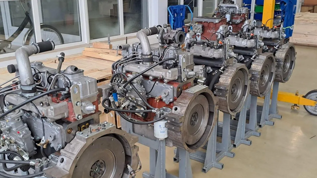 Фото: Максим Чижиков/souzveche.ru