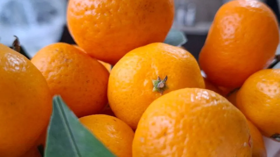 Фото: REGIONS/Юлия Габбасова