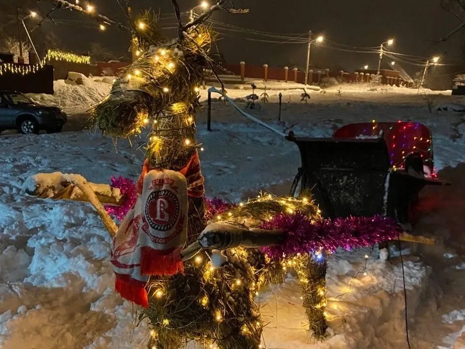 Фото: пресс-служба администрации г.о. Чехов