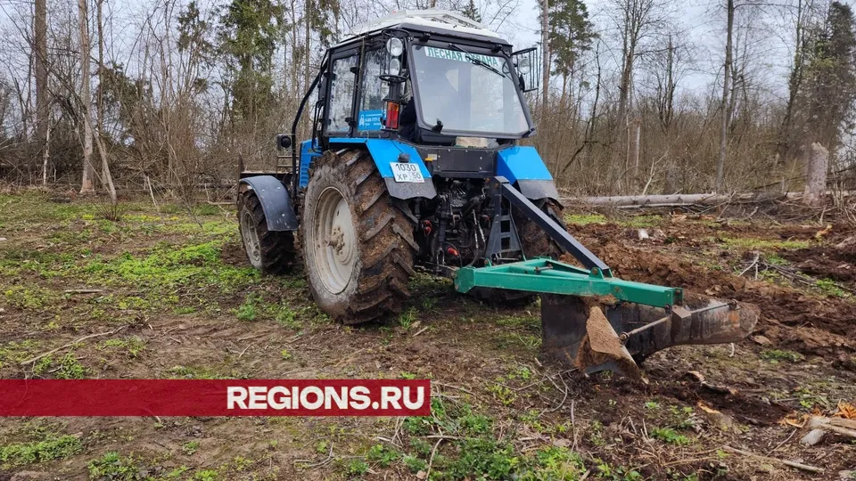 Фото: Хавива Фонина