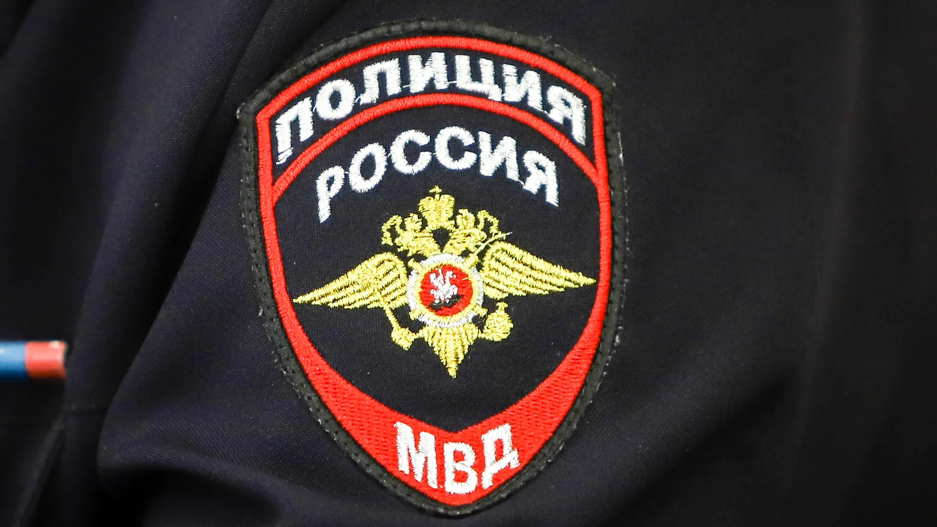 Анна Реппель