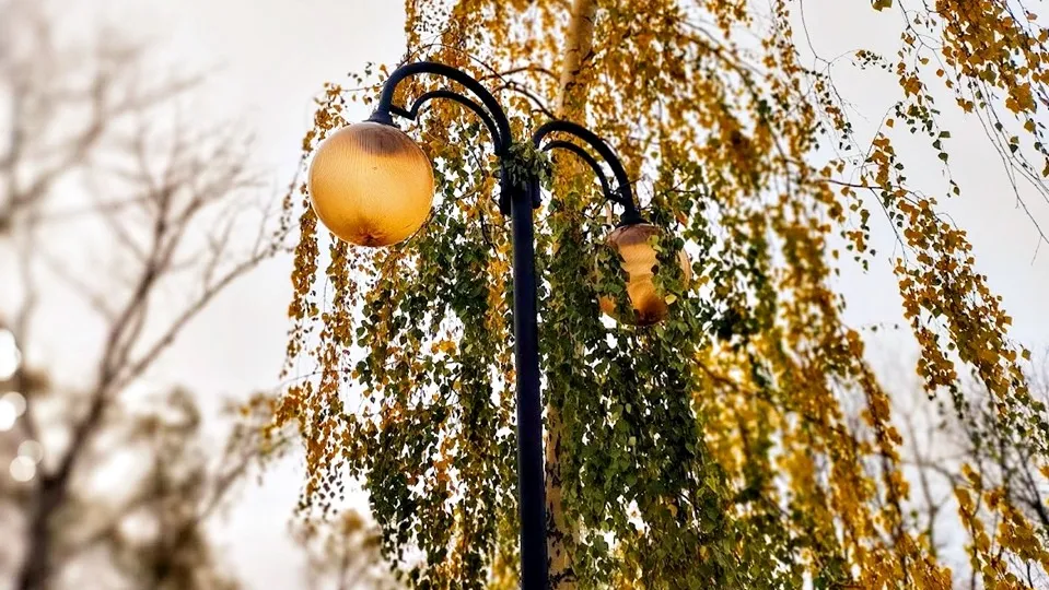 Фото: REGIONS/Алексей Селиверстов