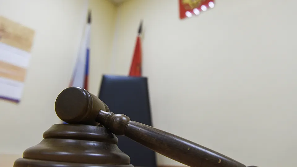 Фото: Медиаархив Подмосковья