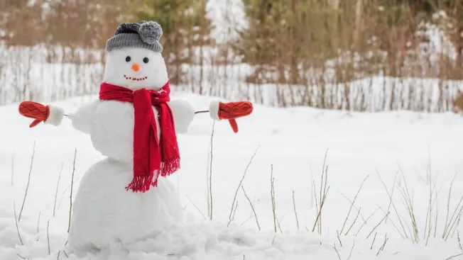 Фото: ru.freepik.com