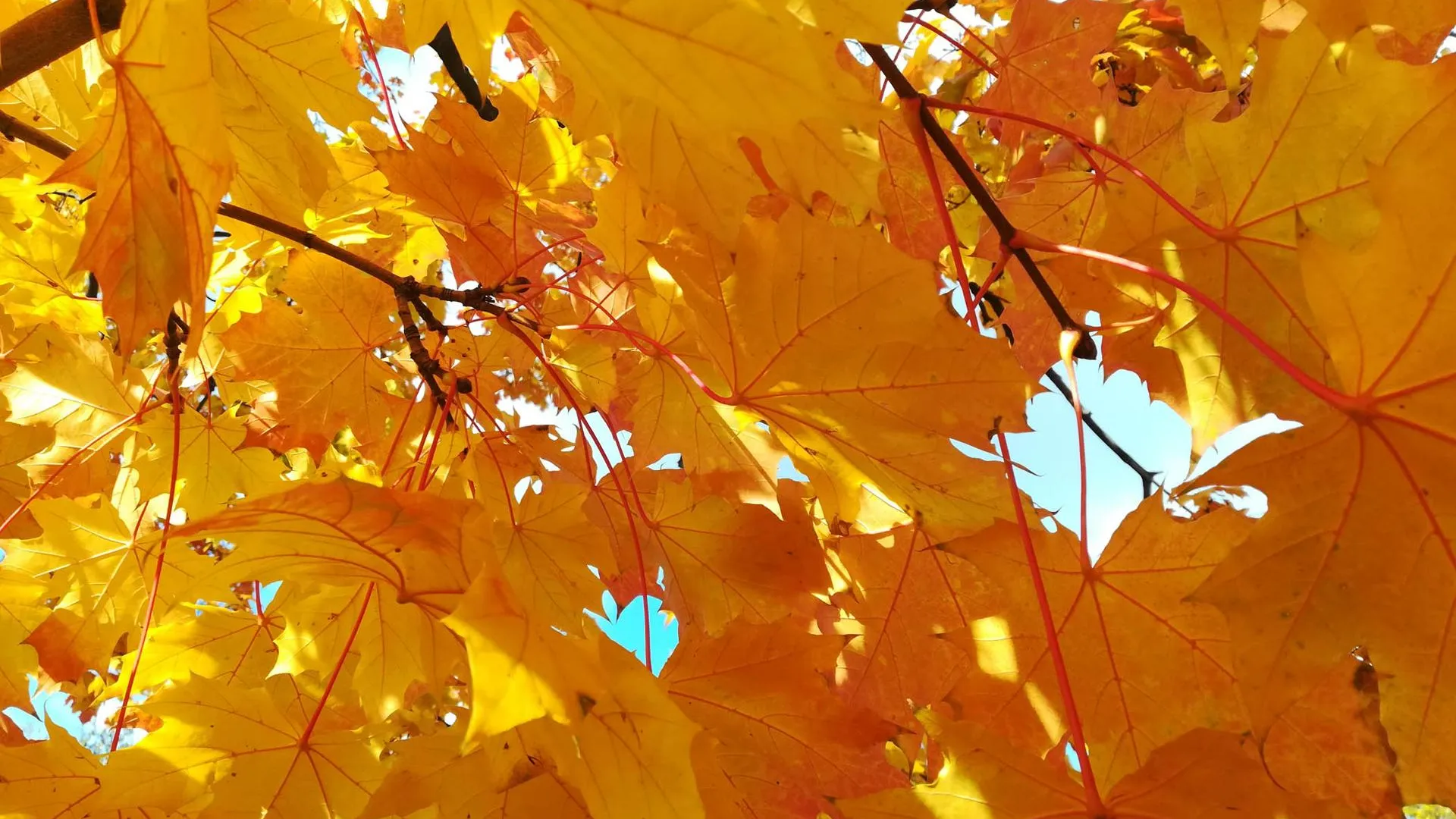 Фото: Дмитрий Кравцов