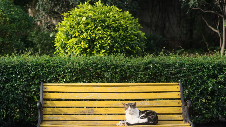 Фото: freepik.com