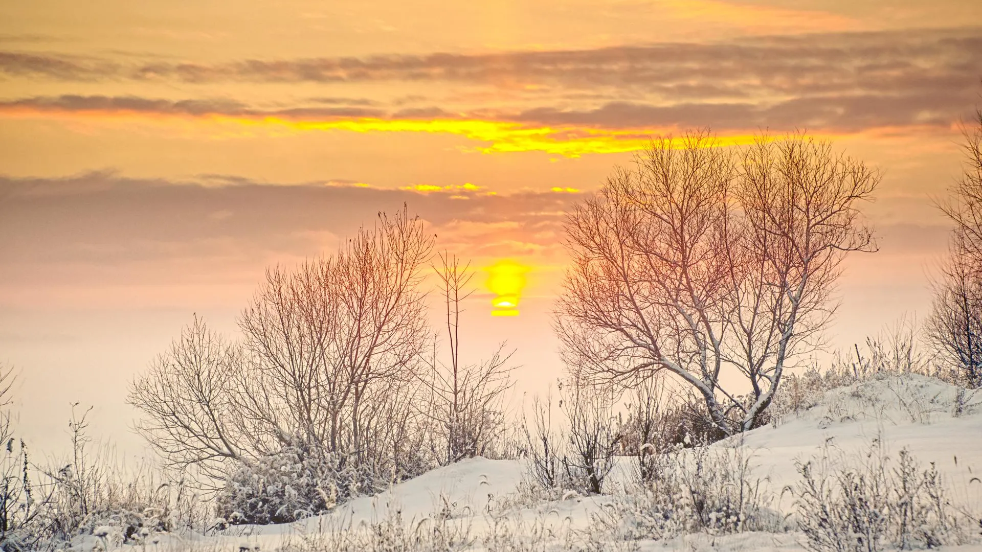 Sergey Metelitsa/Global Look Press