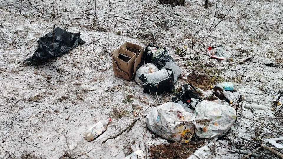 Фото: Комлесхоз МО