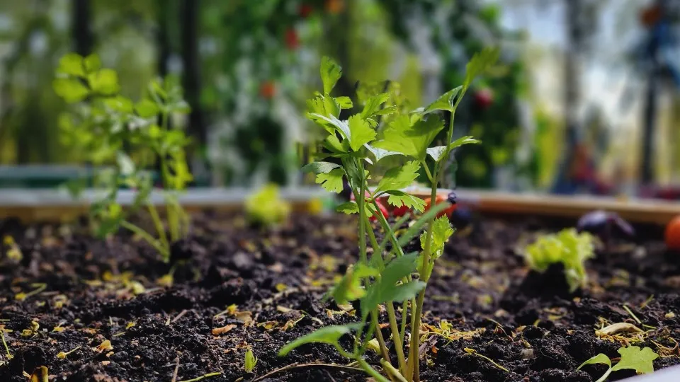 Фото: МедиаБанк Подмосковья/Екатерина Данилина