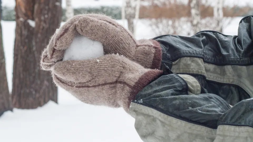 Фото: istockphoto.com/yaalan